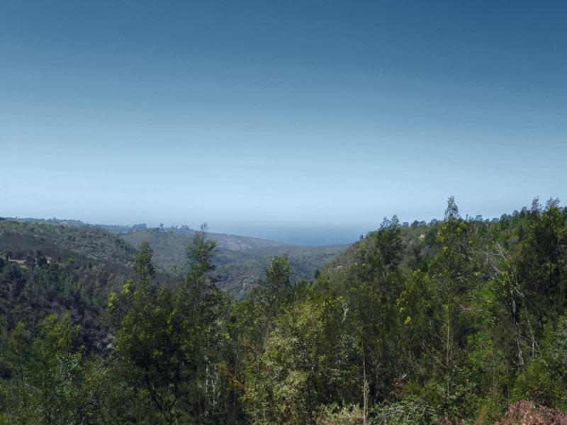 0 Bedroom Property for Sale in Hoekwil Western Cape